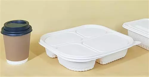 Aggiornamento UE 2020/1245 su contenitori e imballaggi in plastica per alimenti
