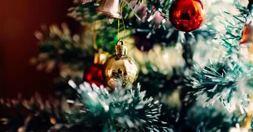 Buone feste!