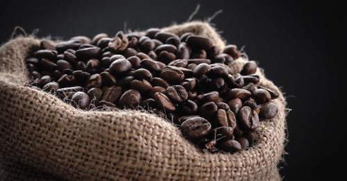 Il progetto Cir.Co: l'economia circolare del caffè