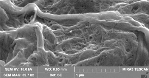Utilizzo di nanofibre di cellulosa TEMPO-ossidate come additivi nei materiali da costruzione a base biologica.