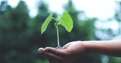 Cultura della sostenibilità e comportamenti pro-ambientali  come strumento di innovazione nell’industria e nei servizi