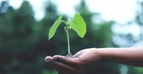 Cultura della sostenibilità e comportamenti pro-ambientali  come strumento di innovazione nell’industria e nei servizi