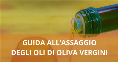Corso di formazione: guida all'assaggio degli oli di oliva vergini