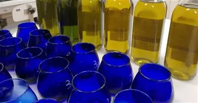 Corso per Aspiranti Assaggiatori d’Olio d’Oliva